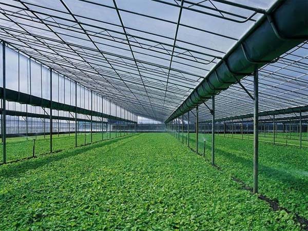 real-time-temperature-and-humidity-monitoring-in-greenhouse1.jpg
