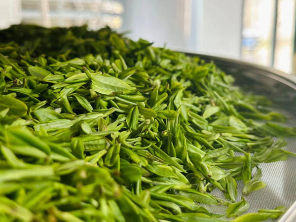 real-time-temperature-and-humidity-monitoring-system-for-tea-storage1.jpg