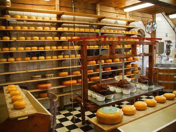 the-application-of-temperature-data-loggers-in-cheese-industry1.jpg