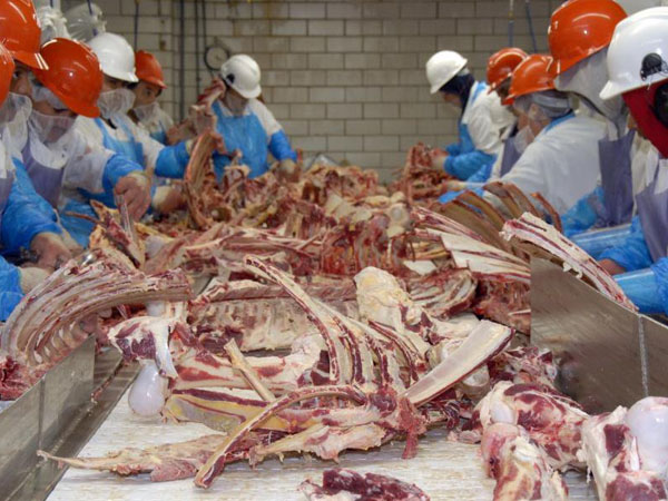 real-time-temperature-monitoring-for-meat-processing1.jpg