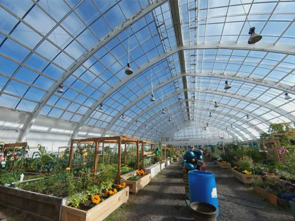 real-time-temperature-monitoring-of-greenhouses1.jpg