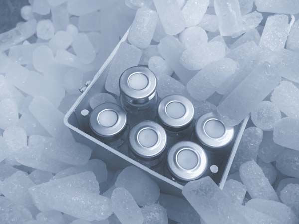 4g-temperature-data-logger-for-transporting-medical-products-and-vaccines1.jpg