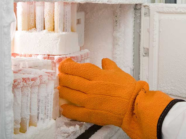 Real-Time Temperature Monitoring for Laboratory Freezers