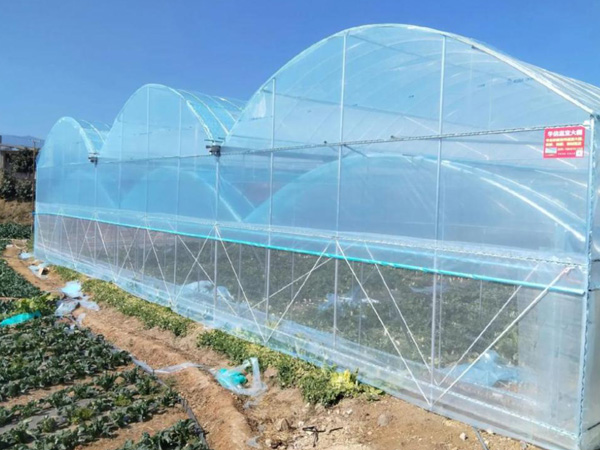 wireless-temperature-monitoring-for-poly-tunnel1.jpg
