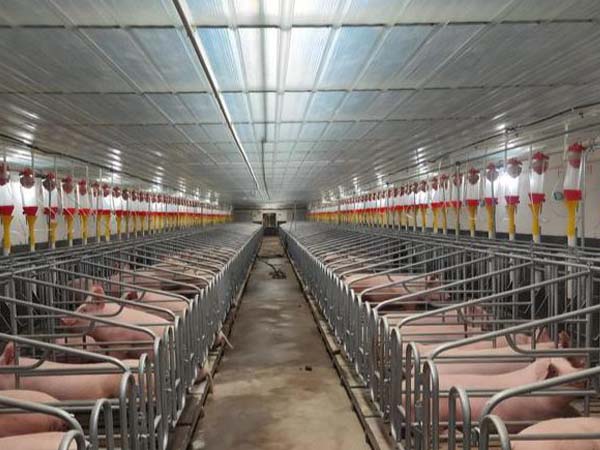 4G Real-time Data Logger for Smart Pigsty Environmental Monitoring