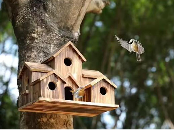 Bluetooth Temperature Sensor for Artificial Bird Nests