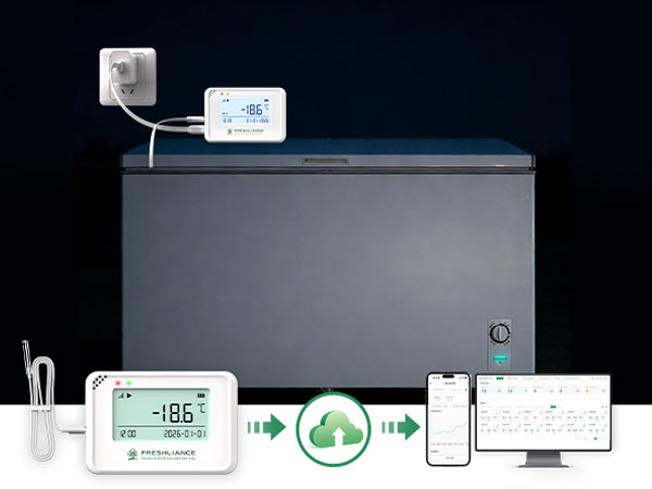 COEUS Mini Real-Time Temperature and Humidity Data Logger
