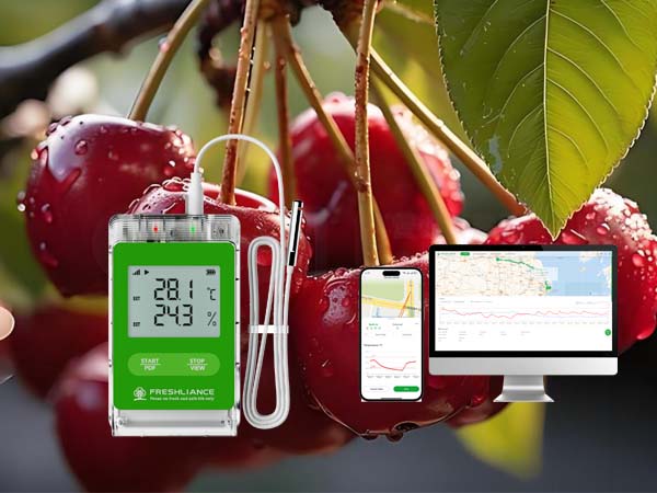 real-time-temperature-monitoring-for-cherry-transport1.jpg