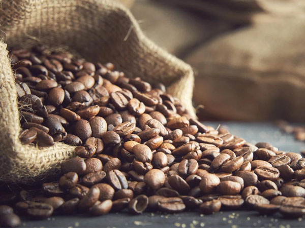 remote-temperature-monitoring-during-coffee-bean-cold-chain-transport1.jpg