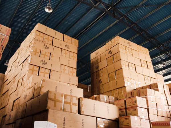 eliminate-cold-chain-blind-spots-in-transit-with-4g-real-time-data-trackers1.jpg