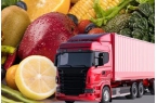 4G Real-time Cold Chain Temper