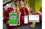 Real-time Temperature Monitori