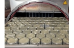 Wireless Food Pasteurization a
