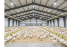 Chicken Houses Real-time Envir